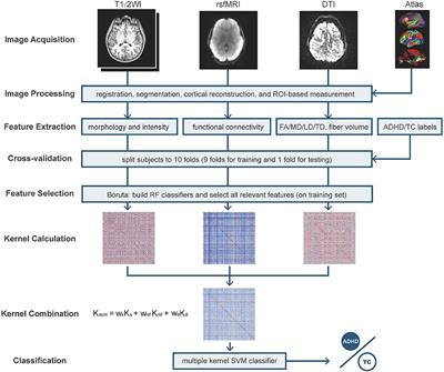 Multimodal MR Images-Based Diagnosis of Early Adolescent Attention-Deficit/Hyperactivity Disorder Using Multiple Kernel Learning